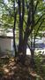 Photo uploaded by <i>THartel</i> on 08/11/2018