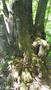 Photo uploaded by <i>THartel</i> on 08/11/2018