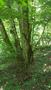 Photo uploaded by <i>THartel</i> on 08/11/2018