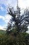 Photo uploaded by <i>viorelarghius</i> on 08/16/2018