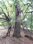 Photo uploaded by <i>viorelarghius</i> on 08/25/2018