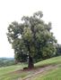 Photo uploaded by <i>viorelarghius</i> on 08/25/2018