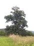 Photo uploaded by <i>viorelarghius</i> on 08/25/2018