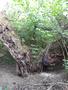 Photo uploaded by <i>viorelarghius</i> on 08/25/2018