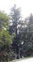 Photo uploaded by <i>viorelarghius</i> on 08/27/2018