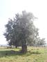 Photo uploaded by <i>viorelarghius</i> on 08/31/2018