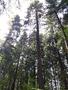 Photo uploaded by <i>viorelarghius</i> on 08/31/2018