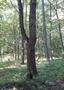 Photo uploaded by <i>viorelarghius</i> on 09/20/2018