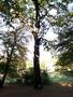 Photo uploaded by <i>viorelarghius</i> on 09/22/2018