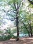 Photo uploaded by <i>viorelarghius</i> on 09/22/2018