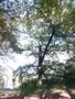 Photo uploaded by <i>viorelarghius</i> on 09/22/2018