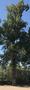 Photo uploaded by <i>AquaCrisius</i> on 09/26/2018