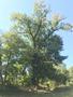 Photo uploaded by <i>AquaCrisius</i> on 09/26/2018