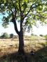 Photo uploaded by <i>viorelarghius</i> on 09/26/2018