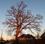 A fotót feltöltötte <i>viorelarghius</i>   2018.12.02.