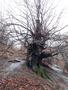 Photo uploaded by <i>viorelarghius</i> on 12/09/2018