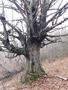 Photo uploaded by <i>viorelarghius</i> on 12/09/2018