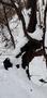 Photo uploaded by <i>viorelarghius</i> on 12/27/2018