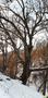 Photo uploaded by <i>viorelarghius</i> on 02/05/2019