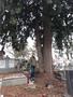 Photo uploaded by <i>viorelarghius</i> on 02/05/2019
