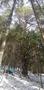 Photo uploaded by <i>viorelarghius</i> on 02/10/2019