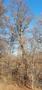 Photo uploaded by <i>viorelarghius</i> on 02/17/2019