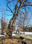 A fotót feltöltötte <i>viorelarghius</i>   2019.02.17.