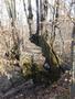 Photo uploaded by <i>viorelarghius</i> on 03/04/2019