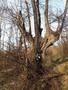Photo uploaded by <i>viorelarghius</i> on 03/04/2019