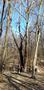 Photo uploaded by <i>viorelarghius</i> on 03/30/2019