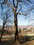 Photo uploaded by <i>Misu@pop</i> on 03/31/2019