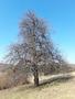 Photo uploaded by <i>viorelarghius</i> on 03/31/2019