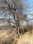 Photo uploaded by <i>viorelarghius</i> on 03/31/2019