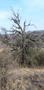 Photo uploaded by <i>viorelarghius</i> on 04/02/2019