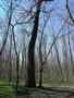 Photo uploaded by <i>Iulia</i> on 04/06/2019