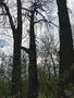 Photo uploaded by <i>CosminComsa</i> on 04/07/2019