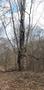 Photo uploaded by <i>viorelarghius</i> on 04/07/2019