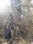 Photo uploaded by <i>viorelarghius</i> on 04/07/2019