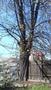 Photo uploaded by <i>Păun Georgiana</i> on 04/08/2019