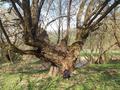 Photo uploaded by <i>viorelarghius</i> on 04/11/2019