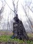 Photo uploaded by <i>viorelarghius</i> on 04/21/2019
