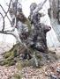 Photo uploaded by <i>viorelarghius</i> on 04/21/2019