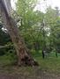 Photo uploaded by <i>viorelarghius</i> on 05/05/2019