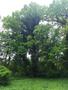 Photo uploaded by <i>viorelarghius</i> on 05/05/2019