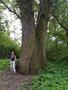 Photo uploaded by <i>viorelarghius</i> on 05/05/2019