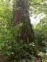 Photo uploaded by <i>viorelarghius</i> on 05/05/2019