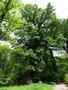 Photo uploaded by <i>viorelarghius</i> on 05/05/2019
