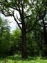 Photo uploaded by <i>viorelarghius</i> on 05/05/2019