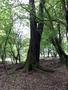 Photo uploaded by <i>viorelarghius</i> on 05/05/2019