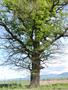 Photo uploaded by <i>Arpi</i> on 05/10/2019